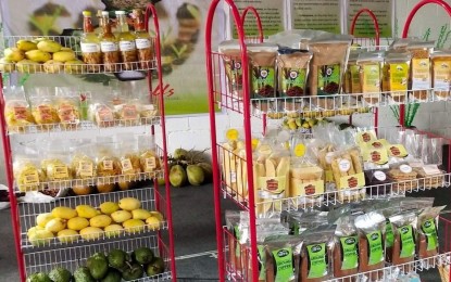 NegOcc ARBs showcase products in agripreneurial expo 