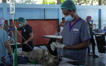 <p><strong>ALARMING RABIES CASES. </strong>The<strong> </strong>Iloilo City Veterinarian’s Office and the Philippine Veterinary Medical Association conduct free neuter and spay activities for dogs and cats in Iloilo City to control the animal population and to address rabies.The Department of Health-Center for Health Development 6 (Western Visayas) calls for responsible pet ownership amid the alarming human rabies death in the region this year. <em>(PNA contributed photo)</em></p>