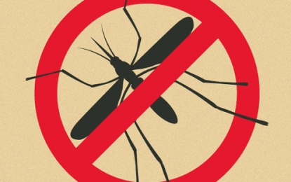 DILG-Bicol directs local execs to act vs. dengue