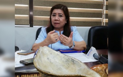 <p><strong>PEACEBUILDING CONFERENCE.</strong> Local chief executives and concerned national government agencies will gather in Iloilo City on July 11 to tackle peace, security and development in Western Visayas.  National Economic and Development Authority Regional Director for Western Visayas Ro-Ann A. Bacal said on Tuesday (July 2, 2019) the conference is part of the whole of nation approach in addressing insurgency issues in conflict-affected areas. <em>(PNA photo by Perla G. Lena)</em></p>