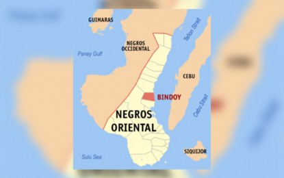 <p>Wikipedia map of Bindoy, Negros Oriental. </p>