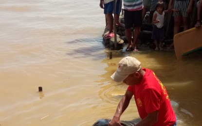 <p style="font-weight: 400;"><strong>MEGAMOUTH SHARK.</strong> A fisherman holds the head of the megamouth shark that was unintentionally caught as residents look on in Barangay Cugman, Friday morning. <em>(Photo courtesy of Menzie Montes)</em></p>