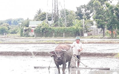 <p><strong>PLANTING SEASON.</strong> A farmer from Sibalom town plows his field to be ready for planting. Water from irrigation canals and those brought by rains enable farmers to plant palay, according to the Office of Provincial Agriculture (OPA) in Antique. <em>(PNA photo by Annabel J. Petinglay)</em></p>