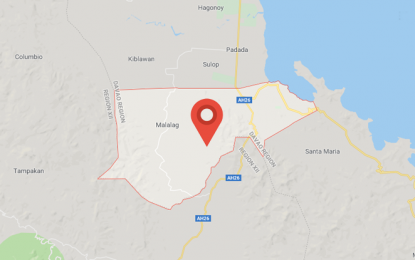 <p>Google map of Malalag town, Davao del Sur.</p>
