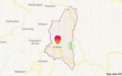 <p>Google map of Arakan, North Cotabato province.</p>