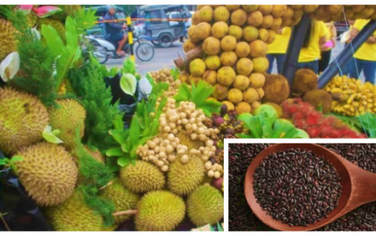 <p><strong>LOCAL FARM PRODUCTS.</strong> Various fruit products and the famous black rice variety (inset) of North Cotabato province being sold at local public markets. North Cotabato Governor Nancy Catamco has initiated the “Buy North Cotabato Made Products” campaign to help resident farmers sell their products in the market amid the influx of imported rice, among others, in the province. <em><strong>(Photo courtesy of NDBC Kidapawan)</strong></em></p>