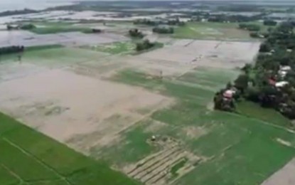 <p><strong>DAMAGED RICE FARMS.</strong> Flooded rice farms in southern Negros. Heavy rains and flooding caused by the southwest monsoon enhanced by Tropical Storms Falcon and Hanna have damaged a number of rice farms in southern Negros in recent weeks. <em>(PNA Bacolod file photo)</em></p>