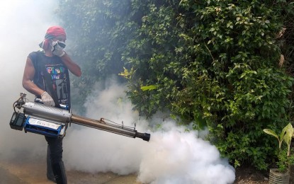 <p><strong>FOGGING</strong>. A fogging activity in Guindapunan village in Palo, Leyte to kill adult mosquitoes. The Department of Health told local officials to search and destroy mosquito breeding places and not just conduct fogging to combat dengue. <em>(Photo courtesy of Palo municipal health office)</em></p>