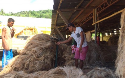 <p><strong>ABACA WORKERS.</strong> Abaca industry workers are busy in their activities inside the compound of the Pinoy Lingap Damayan Multi-Purpose Cooperative, a non-government organization that is also engaged in the lending business for the abaca farmers, in Virac, Catanduanes. Angel Valeza, supervising agriculturist of the Office of the Provincial Agriculture in the province, said the industry is now gradually bouncing back after its devastation when the island was hit by Typhoon Nina in 2016. <em>(File photo by Samuel Toledo)</em></p>