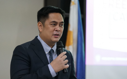 <p>Presidential Communications Operations Office Secretary Martin Andanar </p>