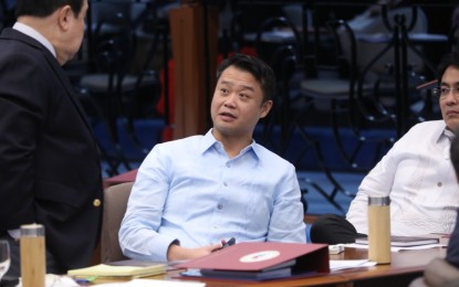 <p>Senator Win Gatchalian<em> (File photo)</em></p>