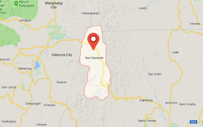 <p>Google map of San Fernando town, Bukidnon.</p>
