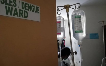 <p><strong>FATALITIES. </strong>The Provincial Health Office in Iloilo records 51 dengue deaths from January 1 to August 3 this year. Iloilo Governor Arthur Defensor Jr. on Friday (August 9, 2019) assured that the province is working hard to bring down the number of dengue cases.<em> (File photo)</em></p>