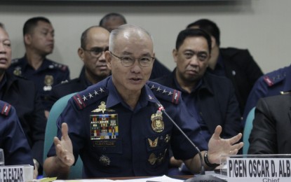 <p>Philippine National Police chief, Gen. Oscar Albayalde</p>