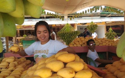 <p><strong>FEWER VISITORS.</strong> A woman from Guimaras displays the sweetest mangoes during the Manggahan Festival 2019 last May. Liberty Ferrer, senior tourism operations officer and officer-in-charge of Guimaras Provincial Office (PTO), said on Saturday (August 10, 2019) that tourism in the province is hurting after the Iloilo Strait tragedy of August 3. <em>(PNA Photo by Gail Momblan)</em></p>