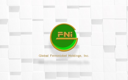 <p><em>Logo taken from FNI website</em></p>