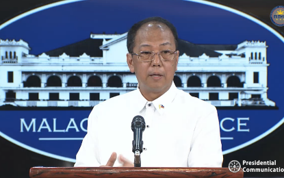 Galvez lauds private sector support in nat’l vax program