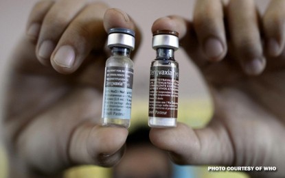 <p>Dengvaxia vaccine<em> (Photo courtesy of WHO)</em></p>