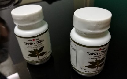 <p><strong>ANTI-DENGUE SUPPLEMENT.</strong> The Daily Apple tawa-tawa (Euphorbia hirta) standardized extract capsules in bottles of 30s launched on Tuesday (Aug. 21, 2019). Manufacturer Herbanext Inc. is a recipient of funding support from the Department of Science and Technology for research and development work on the tawa-tawa capsules, which ran for more than five years.  <em>(PNA photo by Nanette L. Guadalquiver)</em></p>