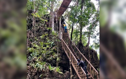 <p><strong>ECO-TOURISM.</strong> The Paranas Eco-trail and Birding Site in Tenani village, Paranas, Samar opened on Wednesday (August 21, 2019). Residents of this town are optimistic the newly-opened Paranas Eco-trail and Birding Site will bring additional income from eco-tourism. <em>(Photo from FB page of The Beauty of the Islands)</em></p>