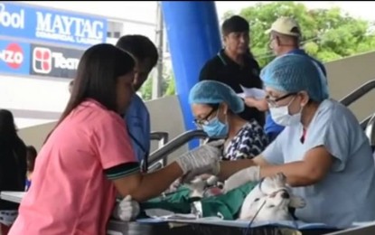 <p><strong>VETERINARY MEDICAL MISSION.</strong> The city government, through the Veterinary Office, conducts a veterinary medical mission on Friday (August 23, 2019). The activity is in part of the month-long celebration of the 82nd Charter Day of Iloilo City. <em>(PNA photo by Iloilo City Government)</em></p>