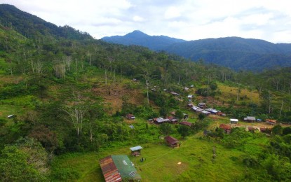 <p>Aerial shot of Sitio Calinawan, Manay, Davao Oriental <em>(Contibuted Photo from Davao Oriental PIO)</em></p>