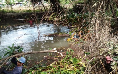 <p><strong>CLOGGED WATERWAYS</strong>. Residents in Casili, Laoag City help in removing water hyacinth and other debris that clogged the creek in said barangay on Tuesday (Sept. 3, 2019). <em>(Photo courtesy of Roshell Ramos)</em></p>
