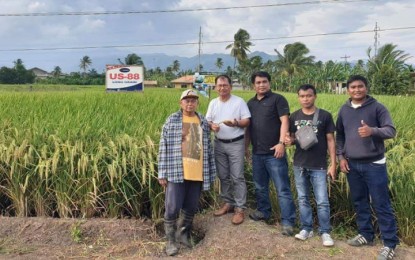 <p>MinDA Secretary Emmanuel Piñol (2nd from left) during a visit at Seedworks Philippines demo farms in Digos, Davao del Sur and Mlang, North Cotabato that grow hybrid rice varieties with outstanding eating quality <em>(Photo credit: facebook.com/MannyPiñol)</em></p>