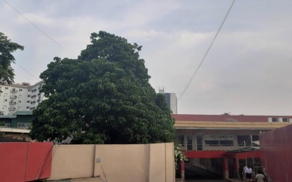 <p><strong>AIR QUALITY.</strong> The Environmental Management Bureau (EMB) in Central Visayas forms a task group that will monitor the air quality in the region, following reports that the smog from the Indonesian forest fire has reached Mindanao and Visayas areas. EMB-7 Regional Director Engineer William Cuñado said he ordered the monitoring of air quality in Region 7 as part of the agency's proactive measures. <em>(PNA photo by John Rey Saavedra)</em></p>