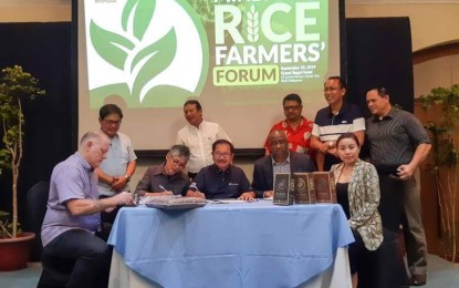 <p><strong>ORGANIC RICE.</strong> Mindanao farmers forged a supply agreement with a US-based marketing firm to supply American consumers with organic rice. An initial shipment of 5,000 metric tons is expected before yearend. <em>(Photo by MinDA)</em></p>