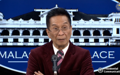 <p>Presidential Spokesperson Salvador Panelo <em>(File photo)</em></p>