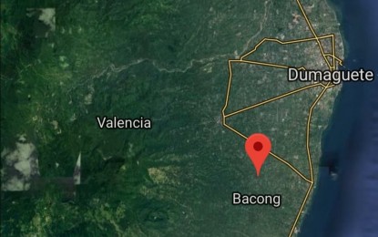 <p>(Google map of Bacong, Negros Oriental)</p>
