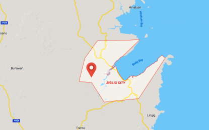 <p>Google map of Bislig City, Surigao del Sur.</p>