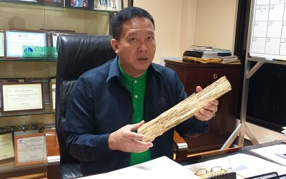 <p><strong>EXPENSIVE WOOD.</strong> Department of Environment and Natural Resources (DENR) Regional Director Crizaldy Barcelo on Thursday (September 26, 2019) shows a piece of wood from Lapnisan tree cut by poachers in Southern Leyte in search of the expensive agarwood. In the country, the first class agarwood is traded at PHP750,000 per kilogram. <em>(PNA photo by Sarwell Meniano)</em></p>