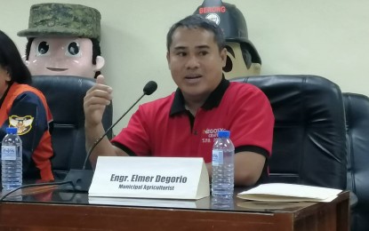 <p>Engr. Elmer Degorio, Santo Tomas, Davao del Norte Municipal Agriculturist Officer <em>(PNA Photo by Che Palicte)</em></p>