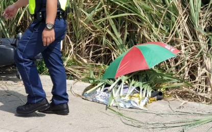 <p><strong>SCENE OF THE CRIME.</strong> A police investigator checks the site where Jicky Casipe, a former leader of the Revolutionary Proletarian Army-Alex Bongcayao Brigade, was gunned down by unidentified motorcycle-riding assailants in Talisay City, Negros Occidental on Friday morning (Oct. 4, 2019). The victim and his motorcycle were found beside a sugarcane field.<em> (Photo courtesy of Adrian Bobe)</em></p>