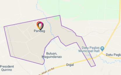 <p>Google map of Pandag, Maguindanao.</p>