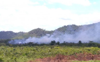 <p><strong>PEAT FIRE</strong>. A portion of the Leyte Sab-a peatland forest burns in this April 2019 photo. Concerned with incidents of peat fires, a non-government organization on Friday (April 16, 2021) pushed for stronger fire prevention, management, and post-fire restoration in the peatland forest. <em>(Photo courtesy of Leyte Sab-a Peatland Forest Restoration Initiative)</em></p>