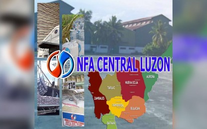 <p>National Food Authority Central Luzon logo </p>