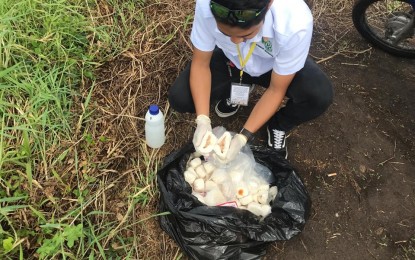 <p><strong>SEIZED 'SIOPAO'.</strong> Authorities at the Dumaguete airport seize around 100 pieces of "siopao" containing pork meat from a passenger on board a commercial flight from Manila on Friday (Oct. 11, 2019). The confiscated steamed buns were buried as part of local measures to prevent the entry of African swine fever to Negros Oriental, which remains free of the virus that affects pigs. <em>(Photo courtesy of the Bureau of Animal Industry)</em></p>