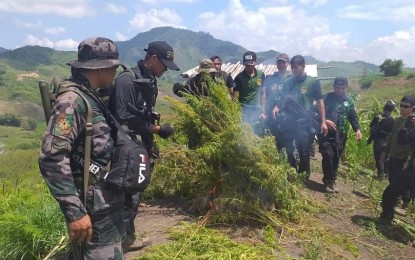 <p><strong>MARIJUANA HAUL.</strong> Joint elements from the South Cotabato Police Provincial Office, the Army’s 27th Infantry Battalion, and the Philippine Drug Enforcement Agency in Region 12 burn some of the marijuana plants uprooted on Saturday (Oct. 19, 2019) in an upland plantation along the borders of South Cotabato, Sultan Kudarat, and Davao del Sur. The team found around 27,000 hills of marijuana at the site worth an estimated P5.4 million. <em>(Photo courtesy of the Tampakan municipal police station)</em></p>