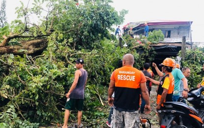 Tornado Topples Trees, Damages Houses In Socot Town 