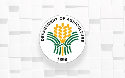 Over 2K farmers, coops in Camarines Sur get P75-M aid from DA