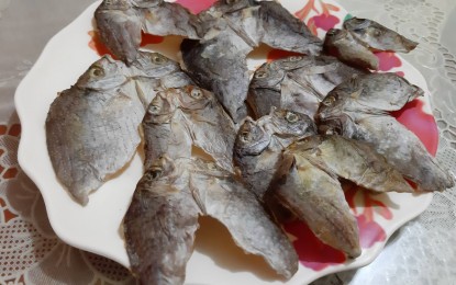 <p>Danggit (dried fish). <em>(File photo)</em></p>