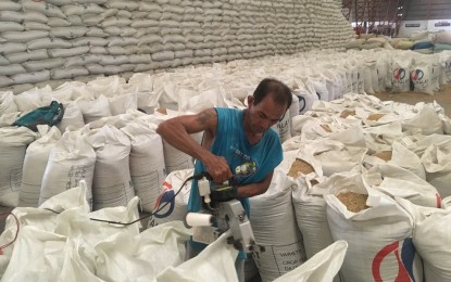 <p><strong>PALAY PROCUREMENT.</strong> Photo shows sacks of the National Food Authority (NFA) palay stored in NFA warehouse. The NFA in Iloilo has purchased 358,000 bags of palay for October this year.<em> (Photo courtesy of NFA-Iloilo)</em></p>
<p> </p>