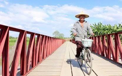 <p><strong>RENEWED CLASHES</strong>. An old villager on a bicycle peacefully crosses the new Tukanalipao bridge in Barangay Tukanalipao, Mamasapano, Maguindanao in this file photo. Fresh clashes erupted anew Saturday (Nov. 9, 2019) between Army troopers and Islamic State-linked Bangsamoro Islamic Freedom Fighters after the radicals harassed government forces stationed in the area. <em>(Photo by PNA-Cotabato)</em></p>