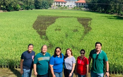 <p><strong>RICE ART.</strong> Visitors take a photo opportunity at the unusual rice paddy art in front of the administration building of the Mariano Marcos State University in Batac Campus on Tuesday (Nov. 12, 2019). It features an image of former first lady Imelda Marcos. <em>(Contributed photo)</em></p>