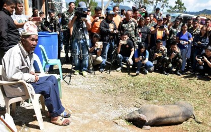 <p><strong>‘PIG CULTURE</strong>’. A photo shows a ‘mambunong’ (native priest) saying a prayer while a pig waits to be butchered. One or several pigs are butchered to celebrate, commemorate something or as an offering.<em> (PNA file photo by Liza T. Agoot)</em></p>