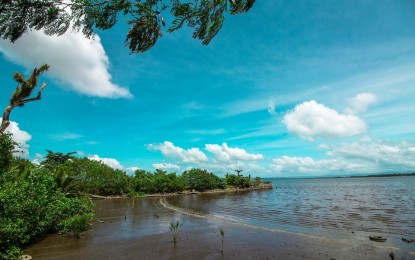 <p><strong>RECURRING.</strong> A portion of red tide-infested Cancabato Bay in Tacloban City. The Bureau of Fisheries and Aquatic Resources (BFAR) imposed a shellfish ban in this city’s Cancabato Bay due to the recurrence of the red tide bloom. <em>(Photo courtesy of Camera ni Juan Photography)</em></p>