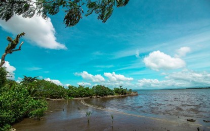 <p><strong>RECURRING.</strong> A portion of red tide-infested Cancabato Bay in Tacloban City. The red tide bloom has recurred in Cancabato Bay just two weeks after the lifting of the shellfish ban in the area, the Bureau of Fisheries and Aquatic Resources (BFAR) reported on Friday (Nov. 15, 2019). <em>(Photo courtesy of Camera ni Juan Photography)</em></p>